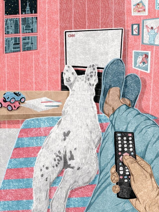 Allemaal alleen hond bij de tv