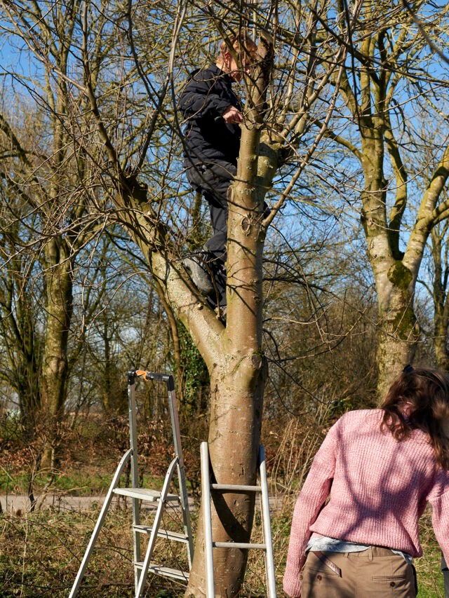 Bioboer