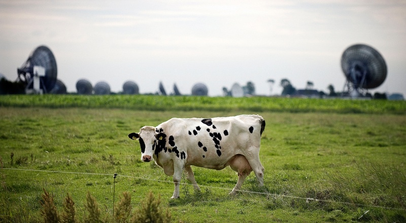 Burum, Friesland: de 'Grote Oren' die continu satellietverkeer afluisteren. Foto: Reyer Boxem/HH