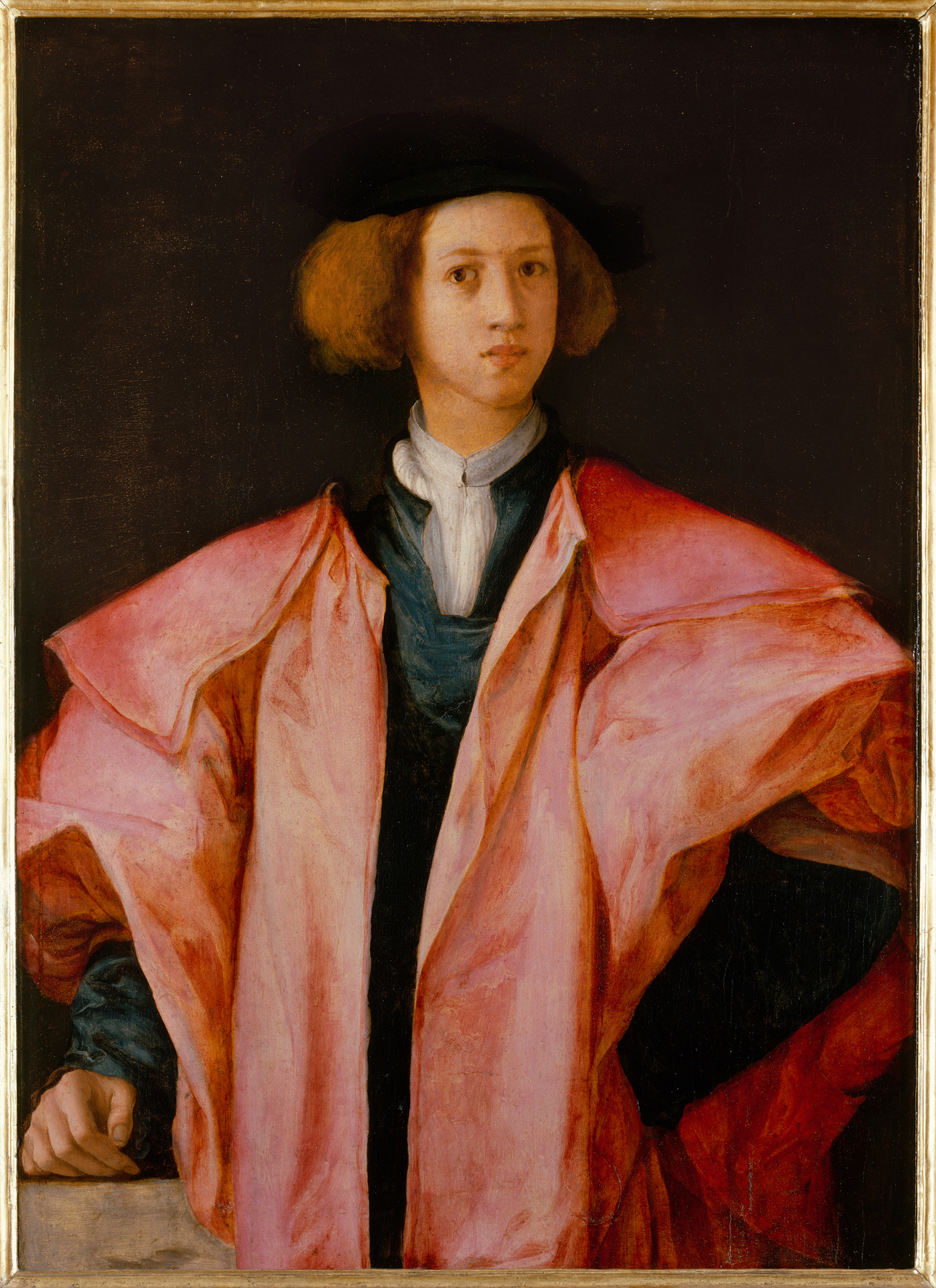 Portret van een jongeman (1525)
