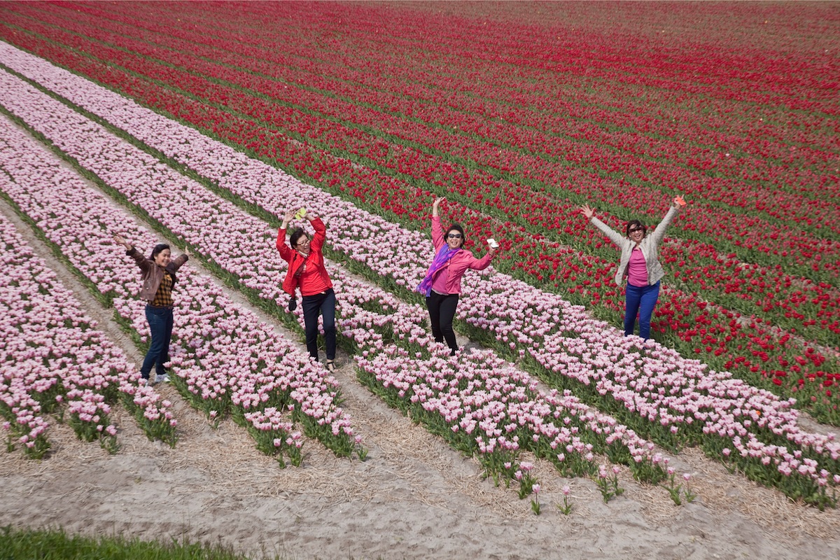 Toeristen tussen de tulpen. Foto: Otto Snoek
