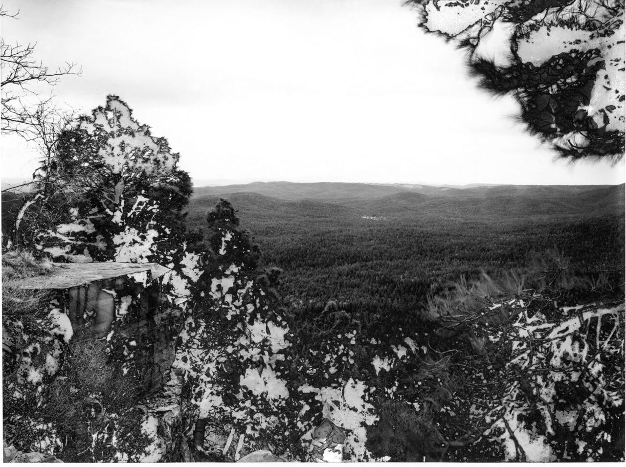 grunberg