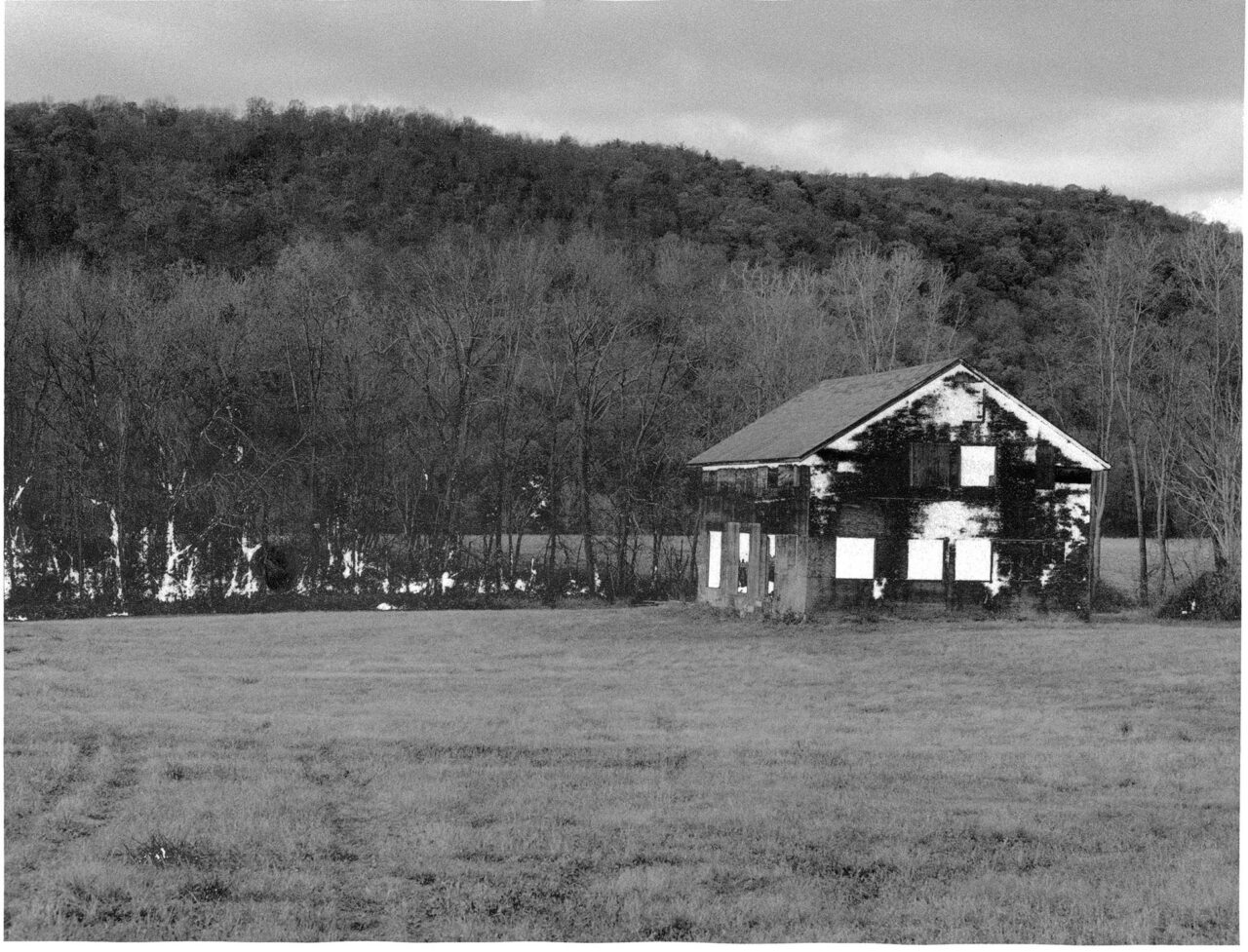 grunberg
