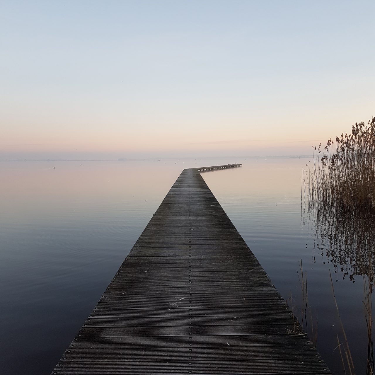 spijbelen