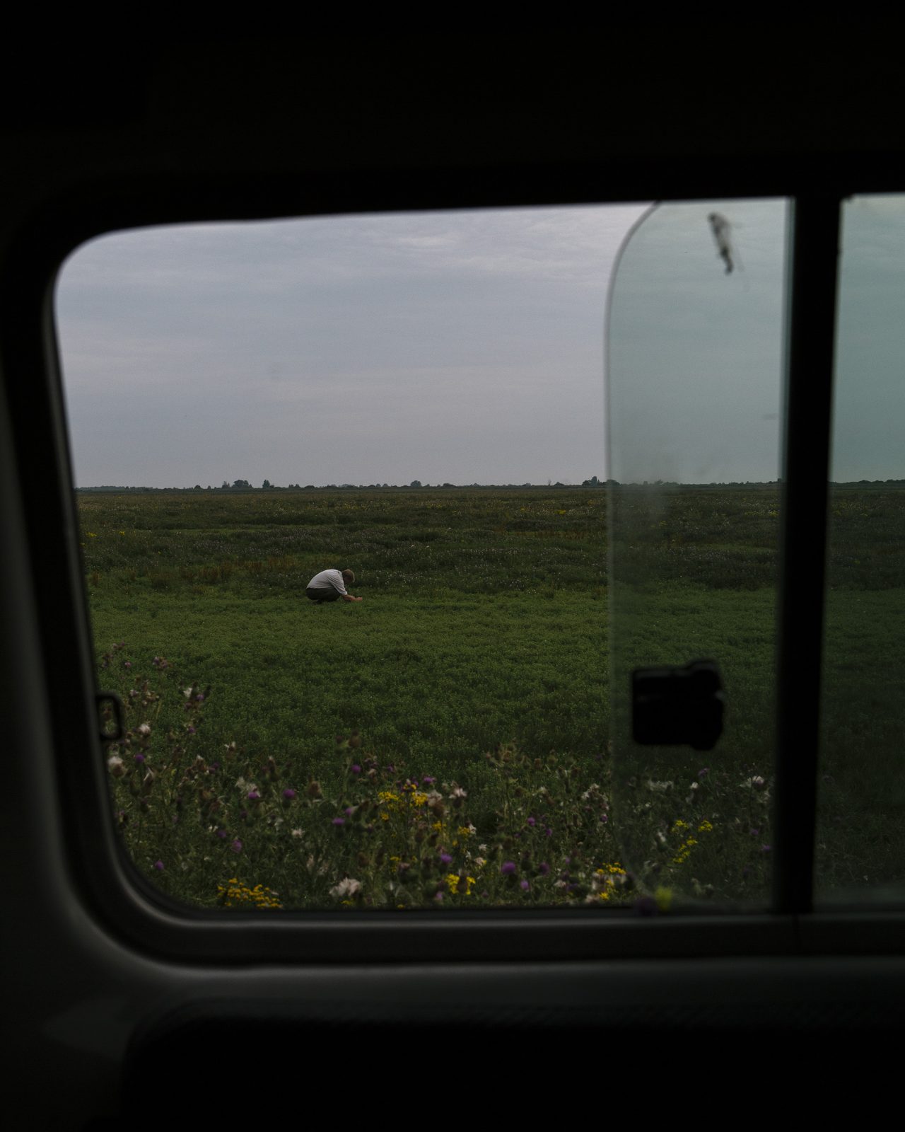 Foto van open autoraam met uitzicht op de Oostvaardersplassen