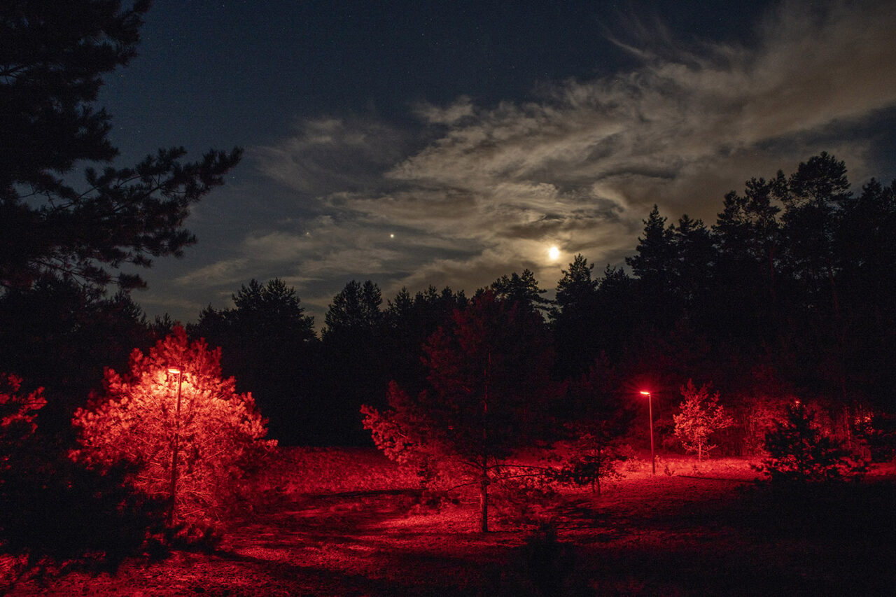 Lichtvervuiling
