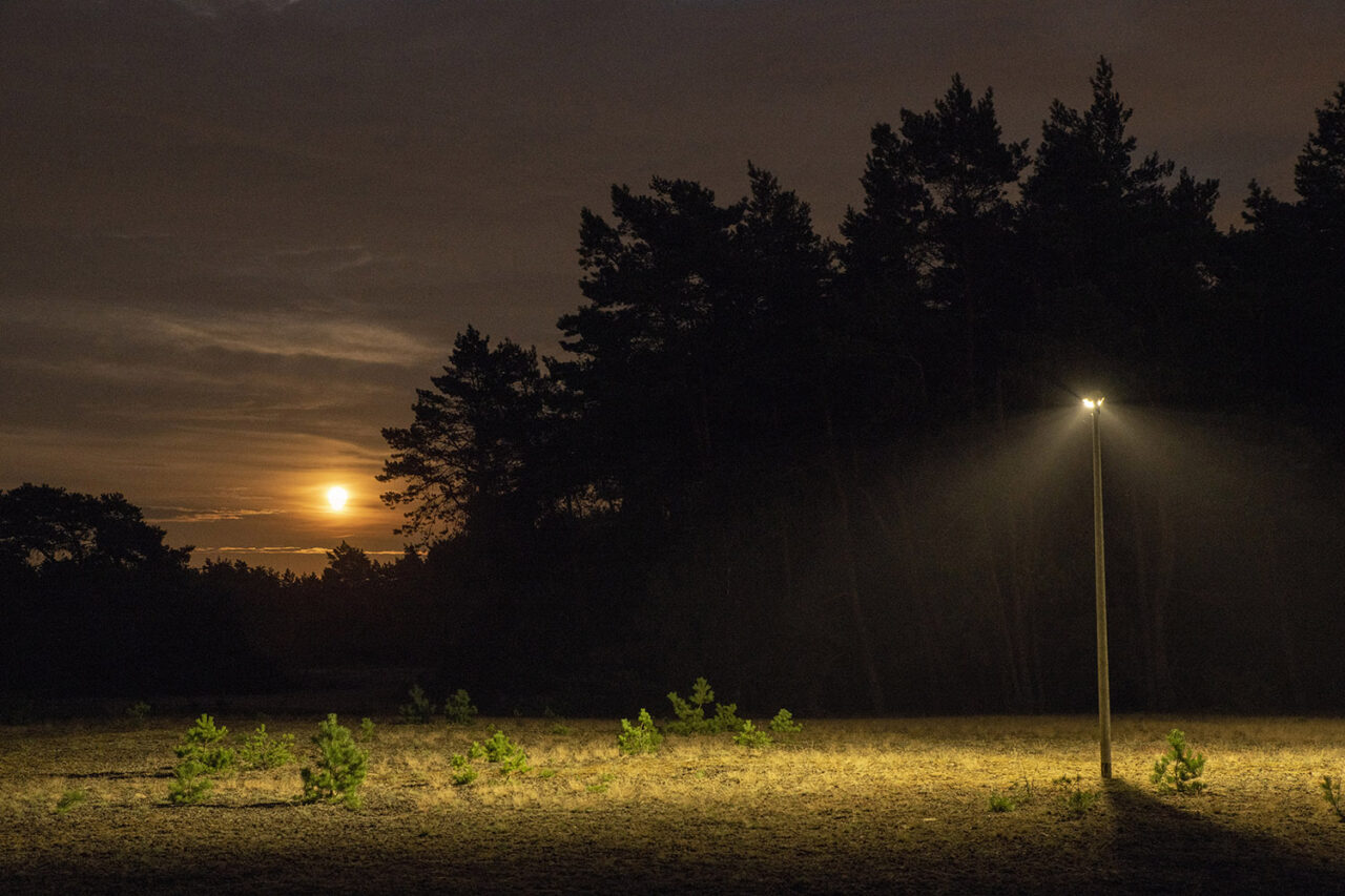Lichtvervuiling