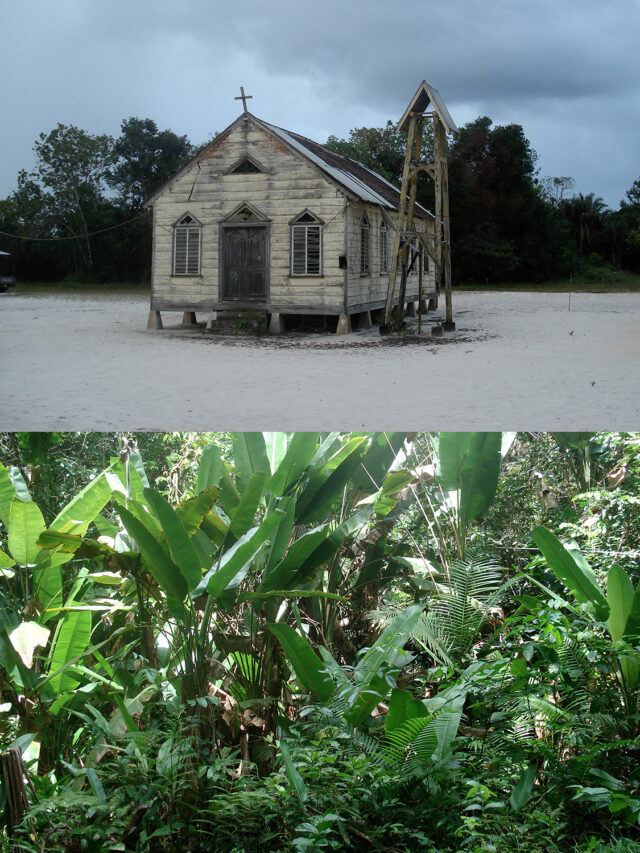 NGOs Suriname